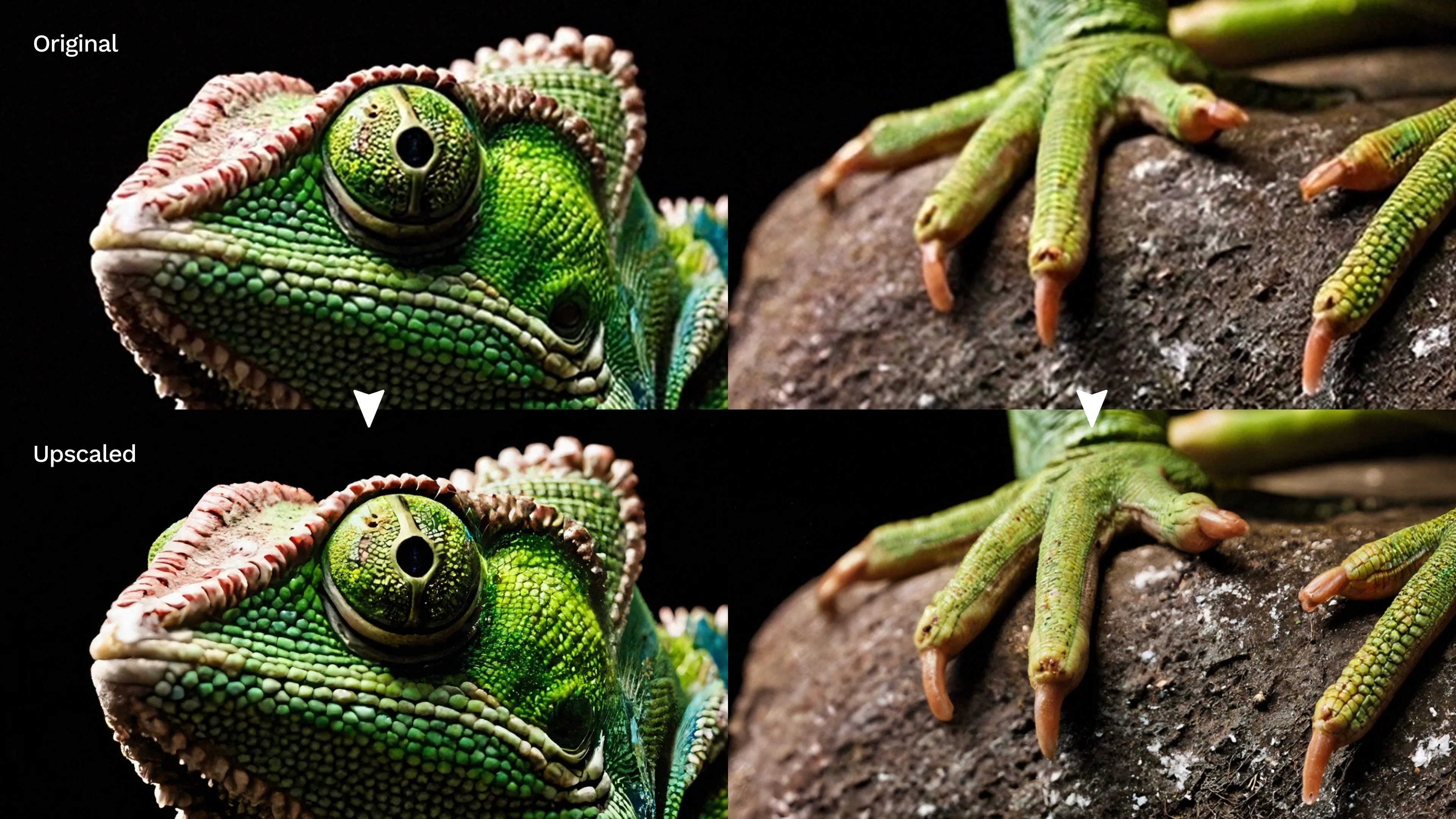 Image Upscaler